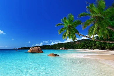 Free Download Beach For Android HD Resolutions Images, HQ ...