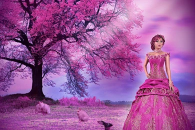 PINK PRINCESS WALLPAPER   (