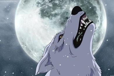 Cartoon wolf images.jpg