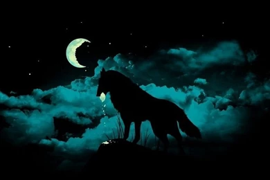 Owl And Wolf Wallpapers HD Free Desktop Backgrounds And Wallpapers