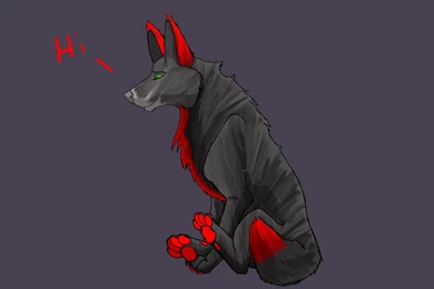 Animated Wolf 1 By Quitedeath On DeviantArt