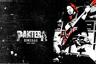 Pantera