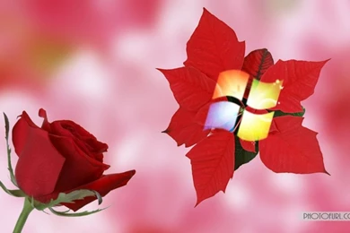 Windows 7 Wallpapers For Computer Desktop Backgrounds