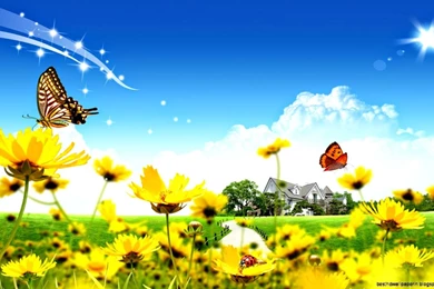 Flowers Wallpapers Free Download Windows 7