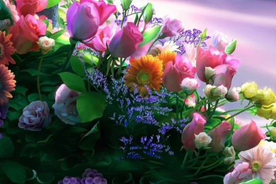 Desktop Wallpapers · Gallery · Windows 7 · Windows 7 Flowers