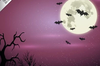 Spooky Halloween Backgrounds Vector