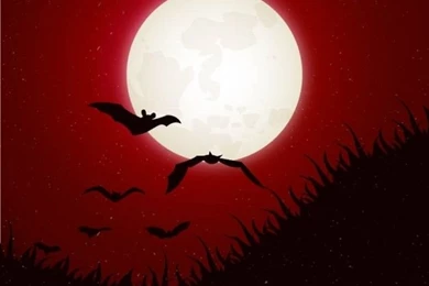 Halloween Backgrounds With Moon And Bats Vector