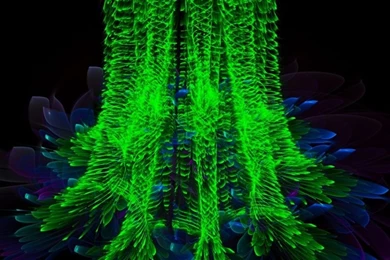 800x1280 Grand Stream Nexus 7 Wallpapers