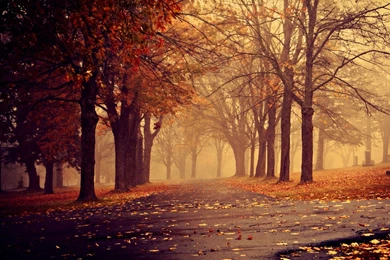 Nexus 7 Wallpapers 24