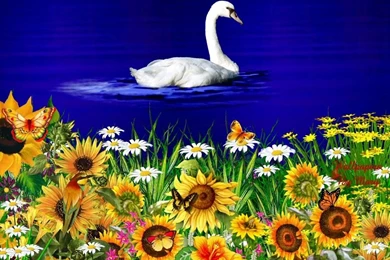 Spring Flowers Wallpapers Free   HD Wallpapers Pretty