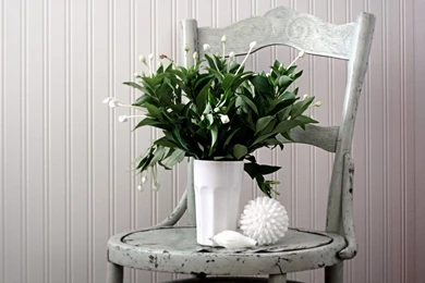 IRBOB SEVENFOLD: Wall Doctor Wallpapers