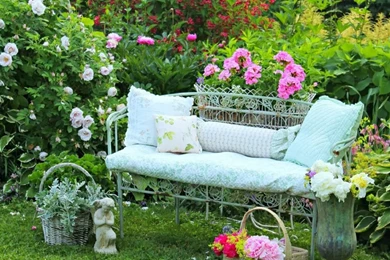 Hd Wallpapers, Nature Images, Nature Stock Photos, Sky, Plants ...