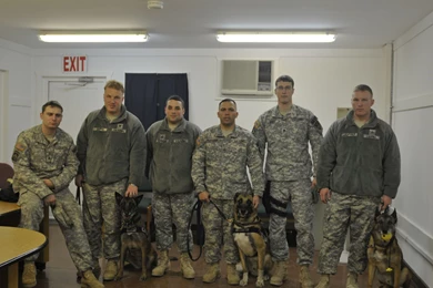 Army Military Police 34 Desktop Backgrounds   Hivewallpaper.com