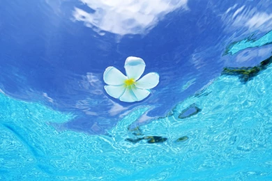 Water Wallpapers   Best Car 2015