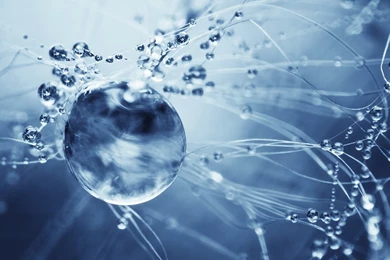 Water Drops Wallpapers