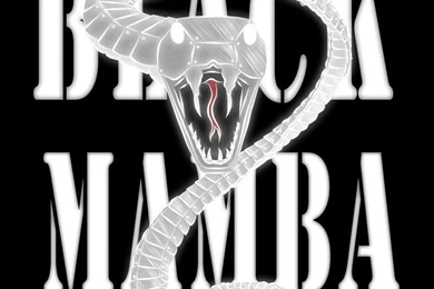 Black Mamba   Black By Beckiiness On DeviantArt