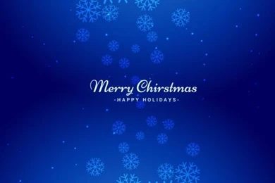 Blue Christmas Backgrounds With Snowflakes Vector