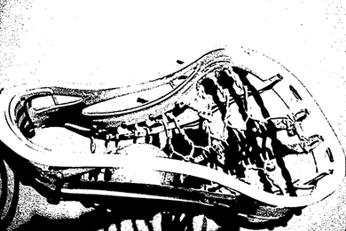 Lacrosse Photo By Jhagerty55