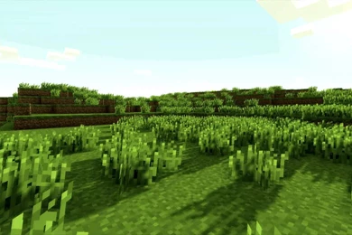 Minecraft
