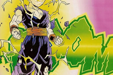 Dragon Ball Z Son Gohan Wallpapers