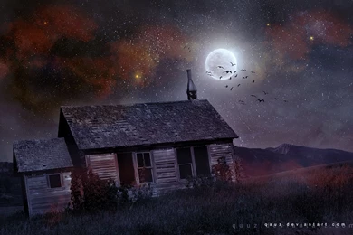 House Moon Night Stars Birds Halloween Dark Wallpapers