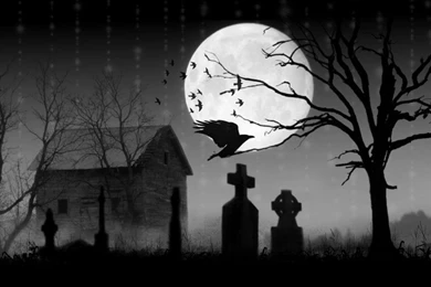 Free Wallpapers   Graveyard And Crow In Dark 1280x768 Wallpapers