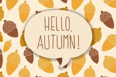 Hello Vectors, Photos And PSD Files