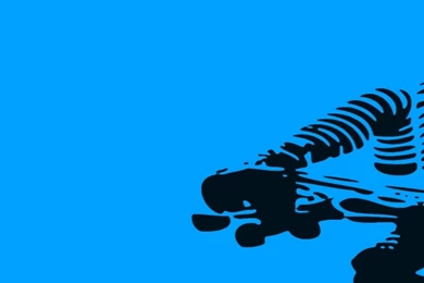 Roller Dm Dual Monitor Walls High Resolution