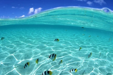 Best Quality High Resolution Sea HD Image