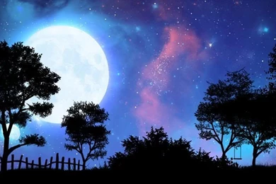 Wallpapers Live   Wallpapers Android Free Download