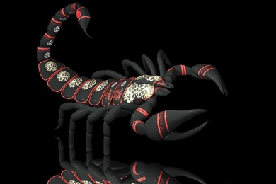Scorpio Wallpapers   Wallpapers Cave
