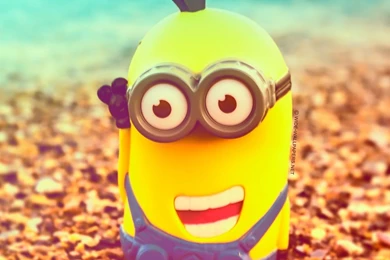Minions, Wallpaper, For, Android, Tablet, , Animation, Character ...