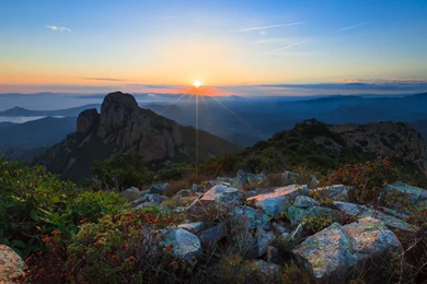 Hd Nature Wallpapers, Landscape, Flowers, Nature Background Images ...