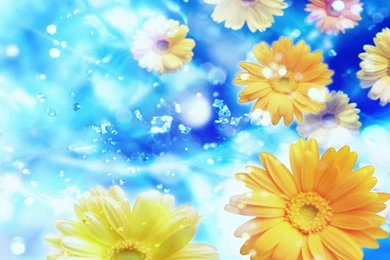 Beautiful Backgrounds   Wallpapers Cave