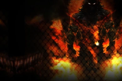 Download Wallpapers 1920x1080 Disturbed, Monster, Animal, Fire, Net ...