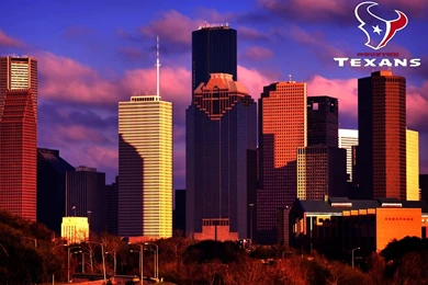 Houston Texans / Nfl 1600x1200 Desktop Images