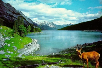 Nature Wallpapers Desktop