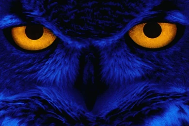 Gallery For   High Definition Graphics