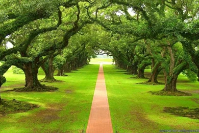 Wallpapers Natural Beauty   Wallpapers Cave