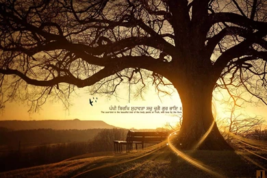 Backgrounds Poster Pics