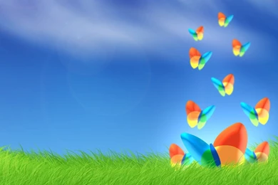 Computer Backgrounds Desktop HD Wallpapers Collections