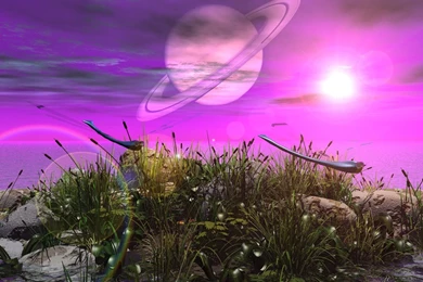 Amazing Wallpapers Free Download   Wallpapers HD Base