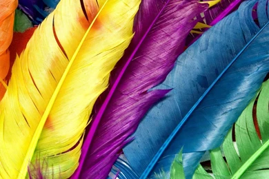 Galaxy S4 Wallpapers HD   Beautiful, Stunning Wallpapers