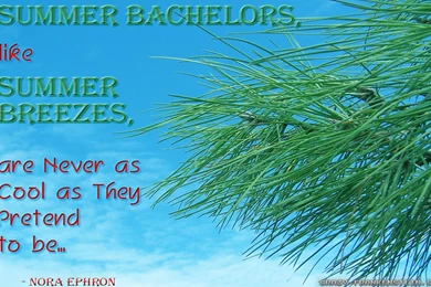 Summer Quote Wallpapers   Crazy Frankenstein