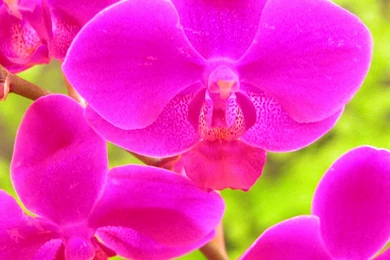 iPad Retina Wallpapers HD   Retina Ready, Stunning Wallpapers