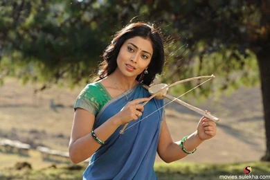 Shriya Tamil Wallpaper, Shriya Desktop Picture, Shriya Posters ...