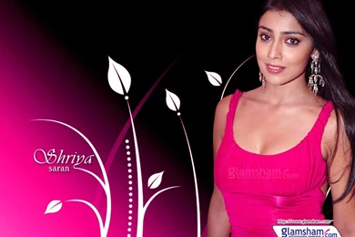 Shriya Saran High Resolution Image 17340   Glamsham.