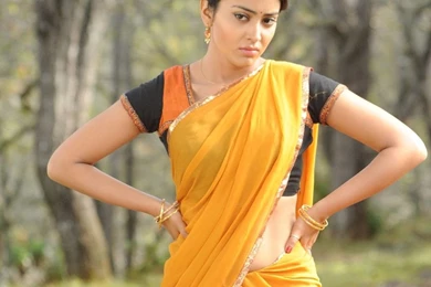 Shriya Tamil Wallpaper, Shriya Desktop Picture, Shriya Posters ...