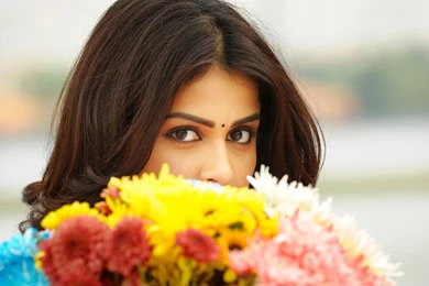 Genelia In Telugu Movie Wallpapers