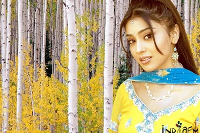 SHREYA: TAMIL MOVIES PICTURES OF ACTRESS